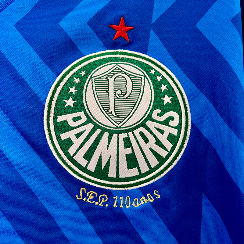 Camisa Palmeiras Goleiro Azul 24/25 - Puma Torcedor Masculina Lançamento